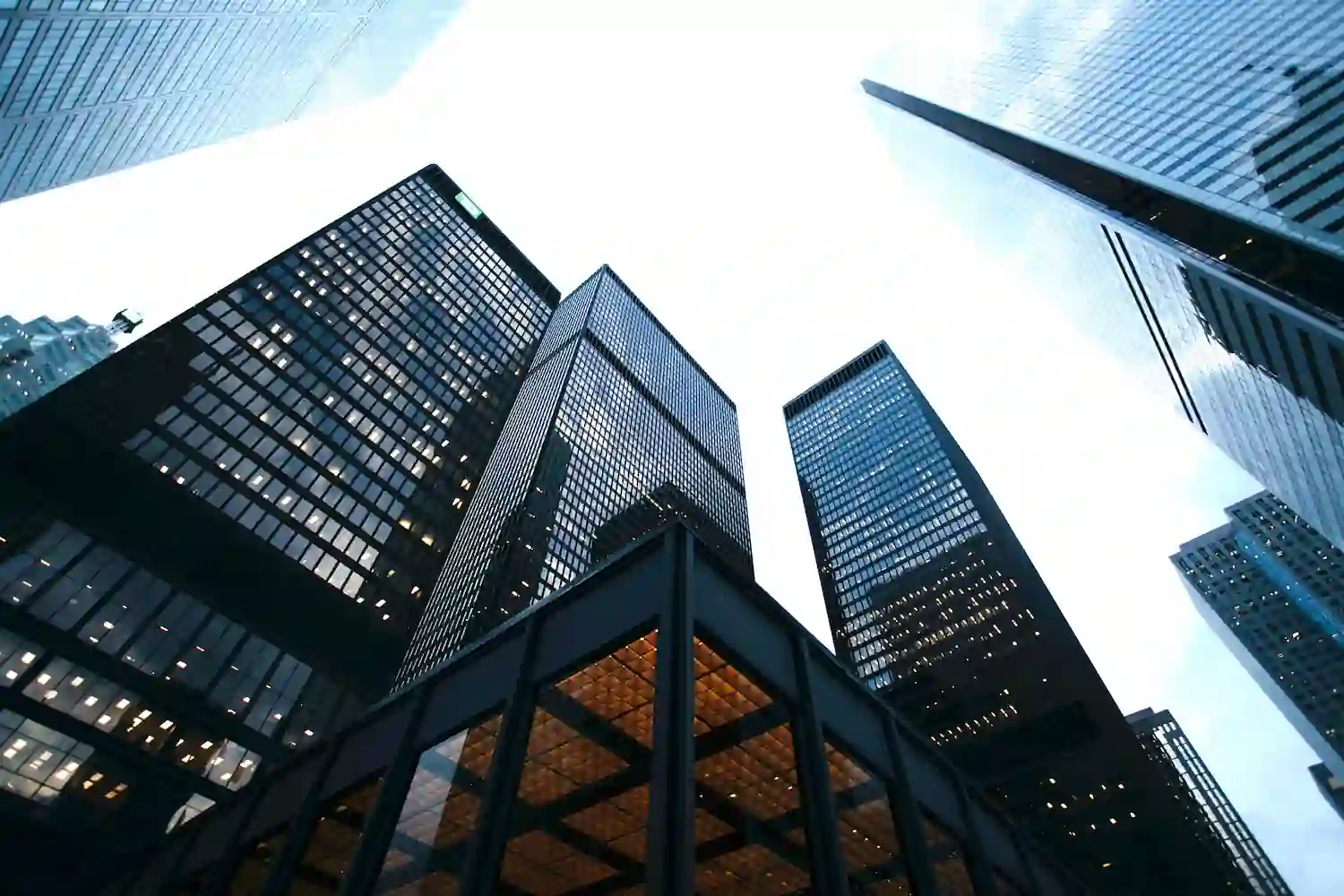 サービスブランド